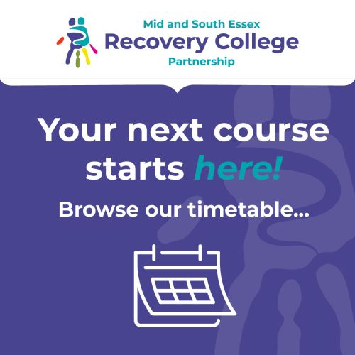 20249-OT-XX - M+SERCP - Timetable Social Graphic_Nov 2025_Op3B