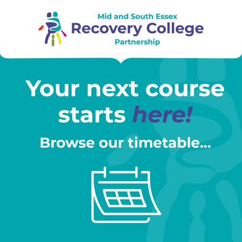 20249-OT-XX_-_MSERCP_-_Timetable_Social_Graphic_Nov_2025_Op3A